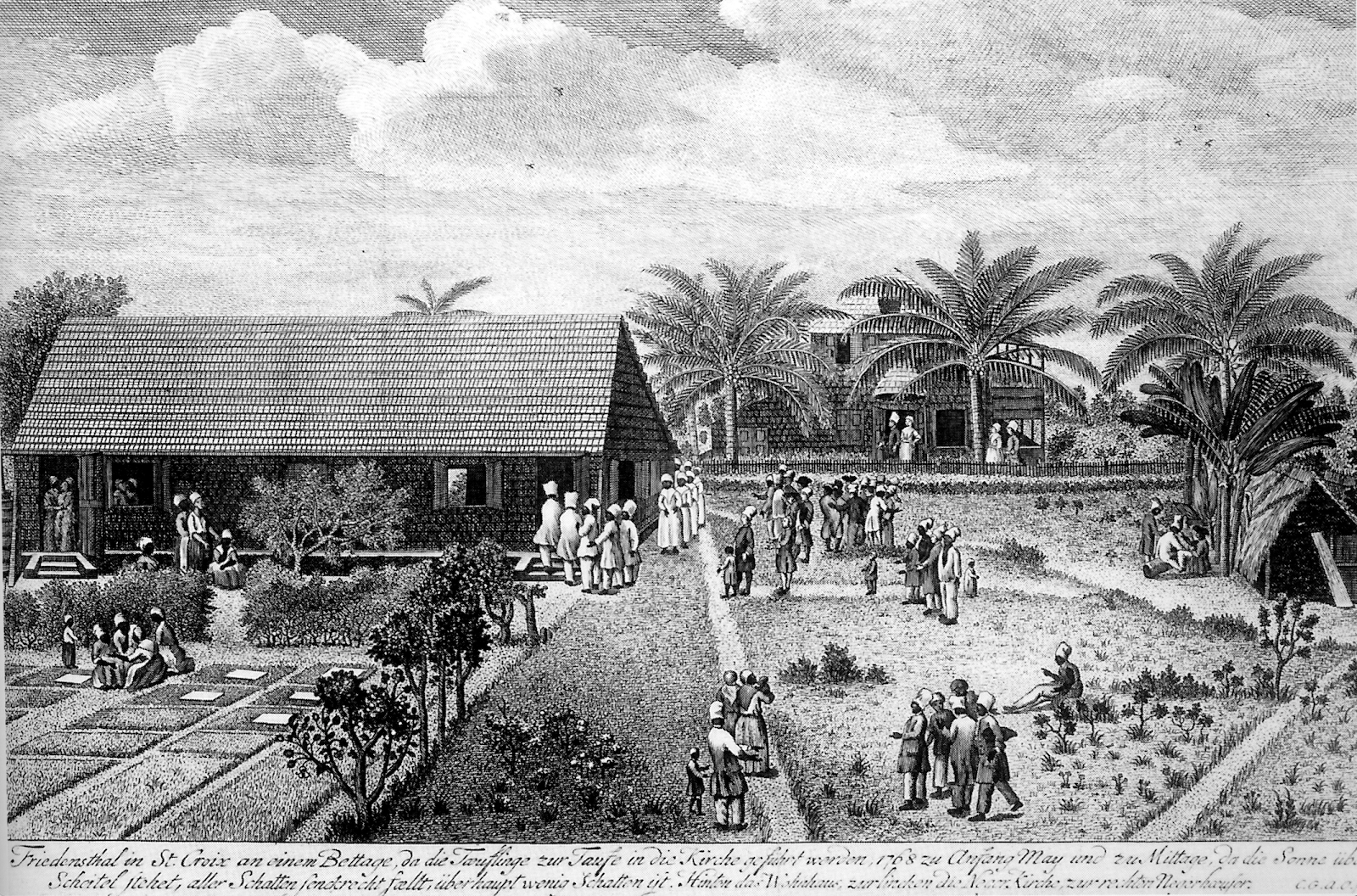 Image of Denmark and the Slave Trade